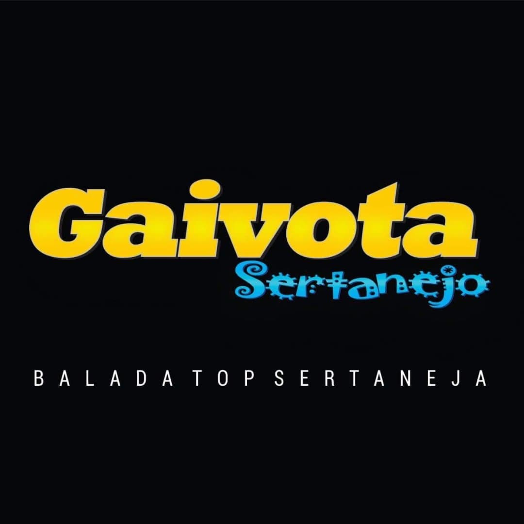 Arte de Gaivota Sertanejo