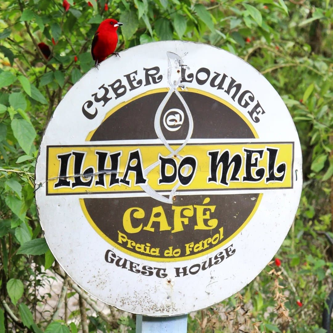 Foto de Pousada Ilha do Mel Café