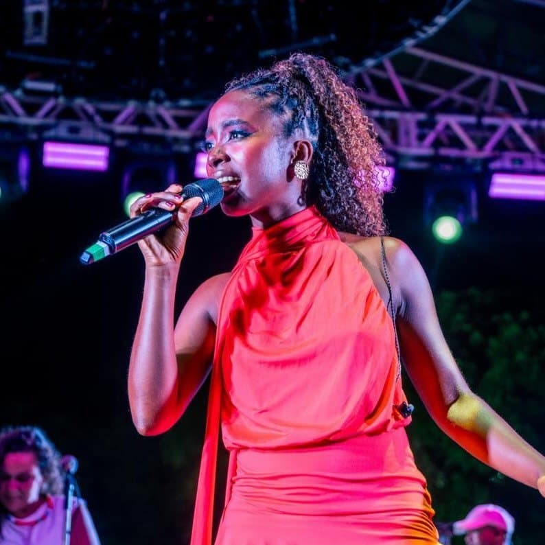 Arte de Lari Lima