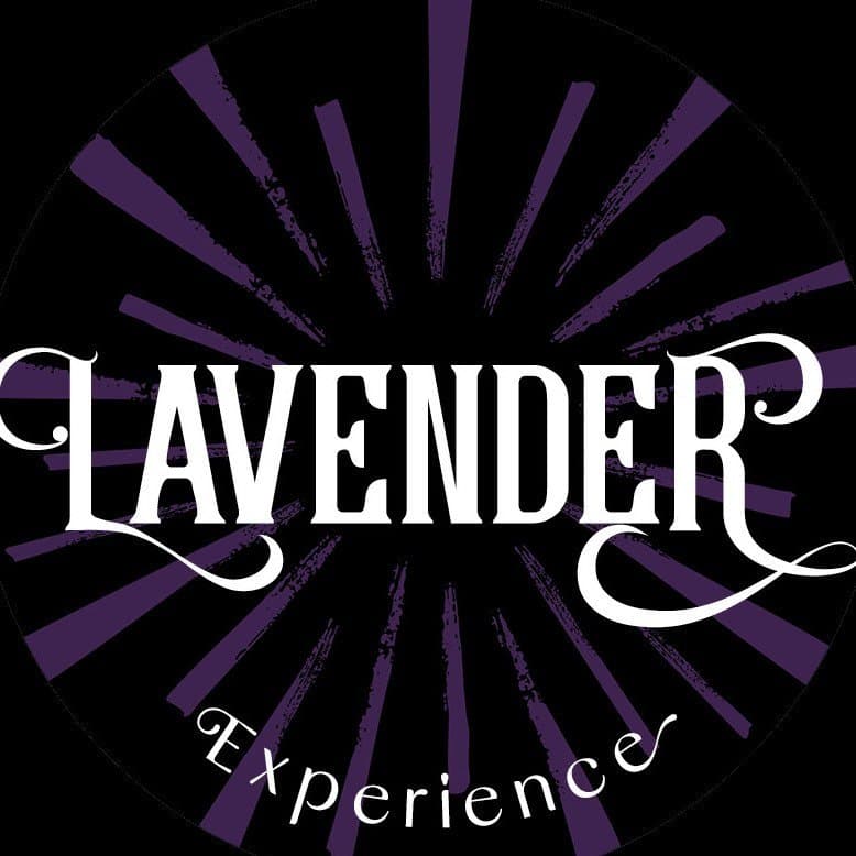 Arte de Banda Lavender