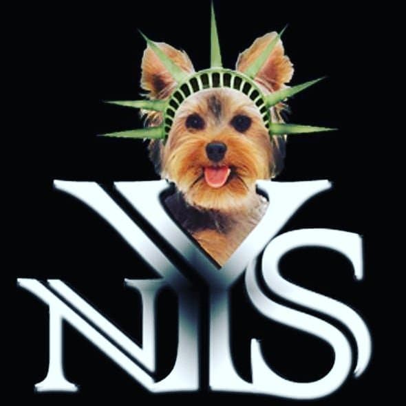 Arte de New YorkShires