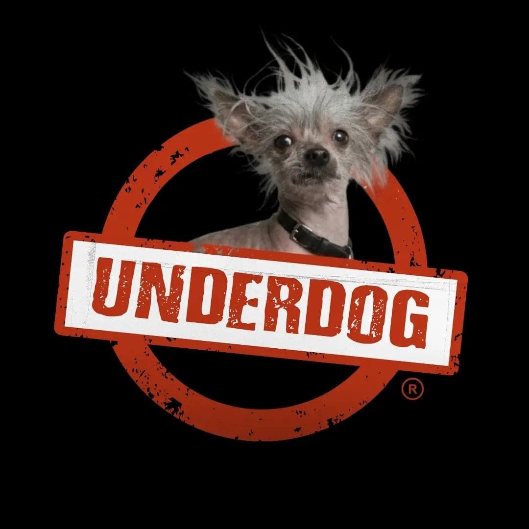 Arte de Underdog