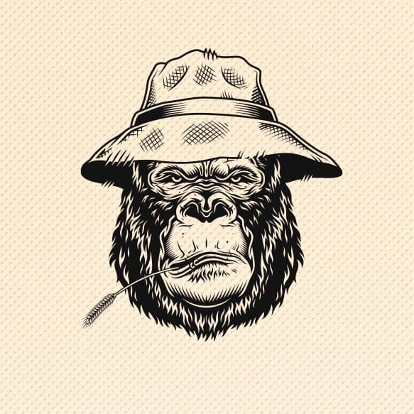 Foto de Old Monkey