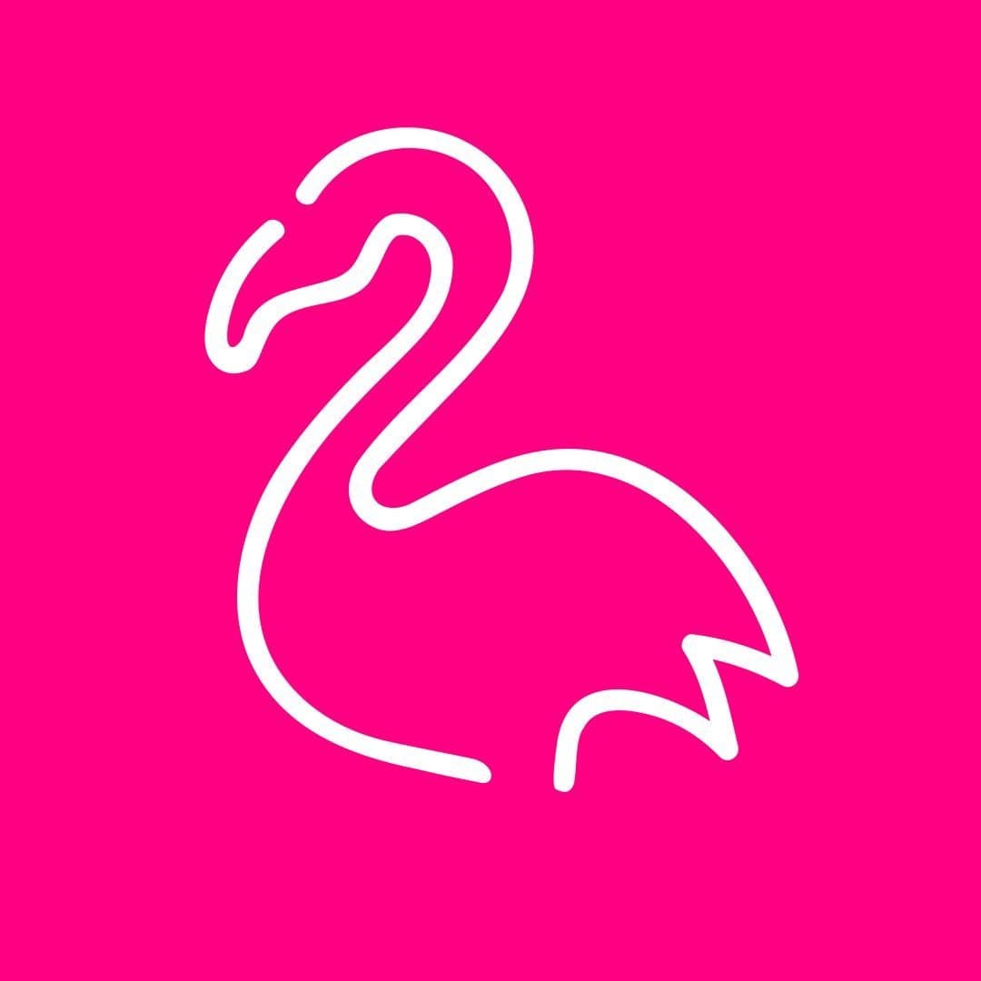 Foto de Pink Flamingo | Rio De Janeiro