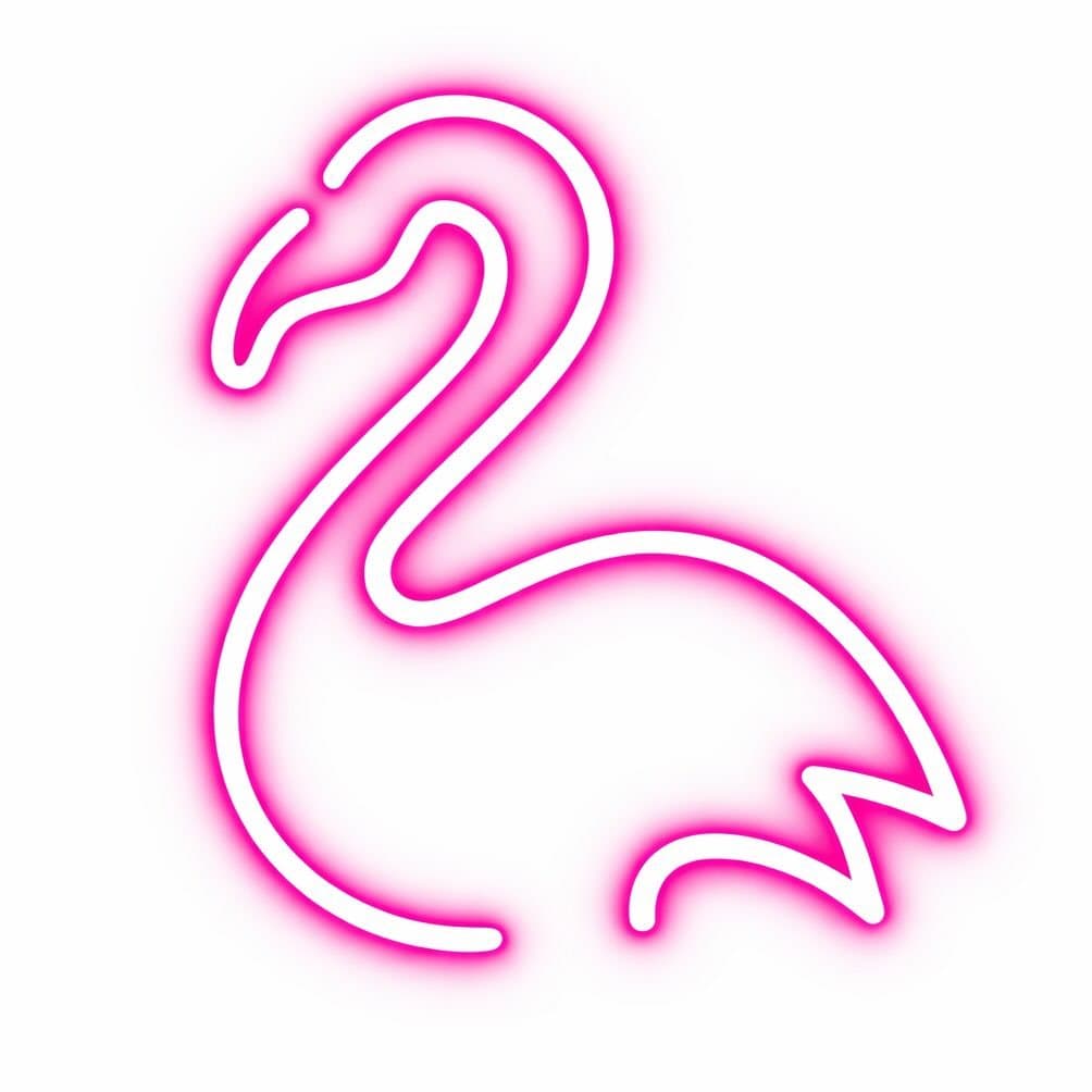 Foto de Pink Flamingo | Rio De Janeiro