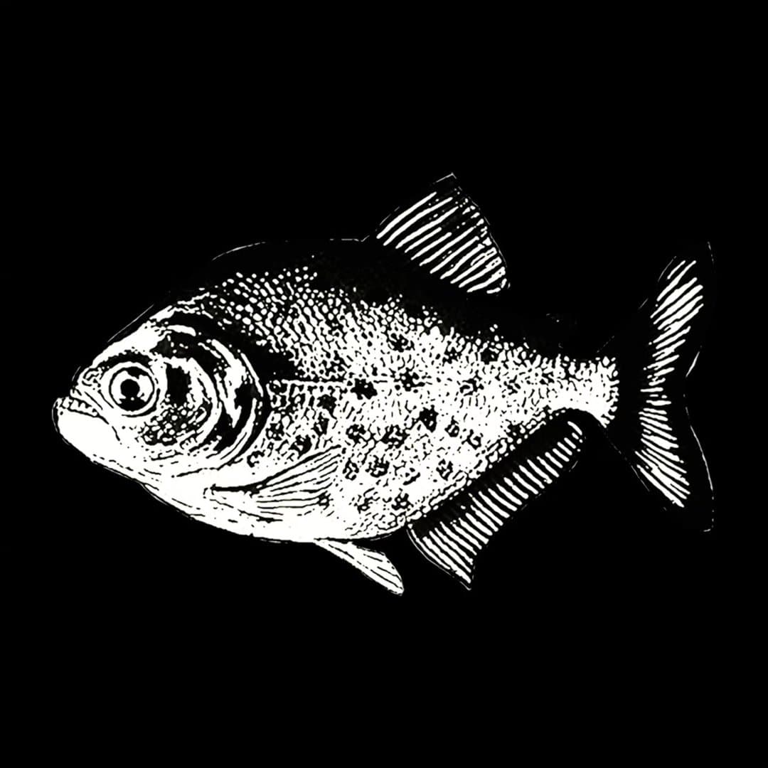 Arte de Piranhão