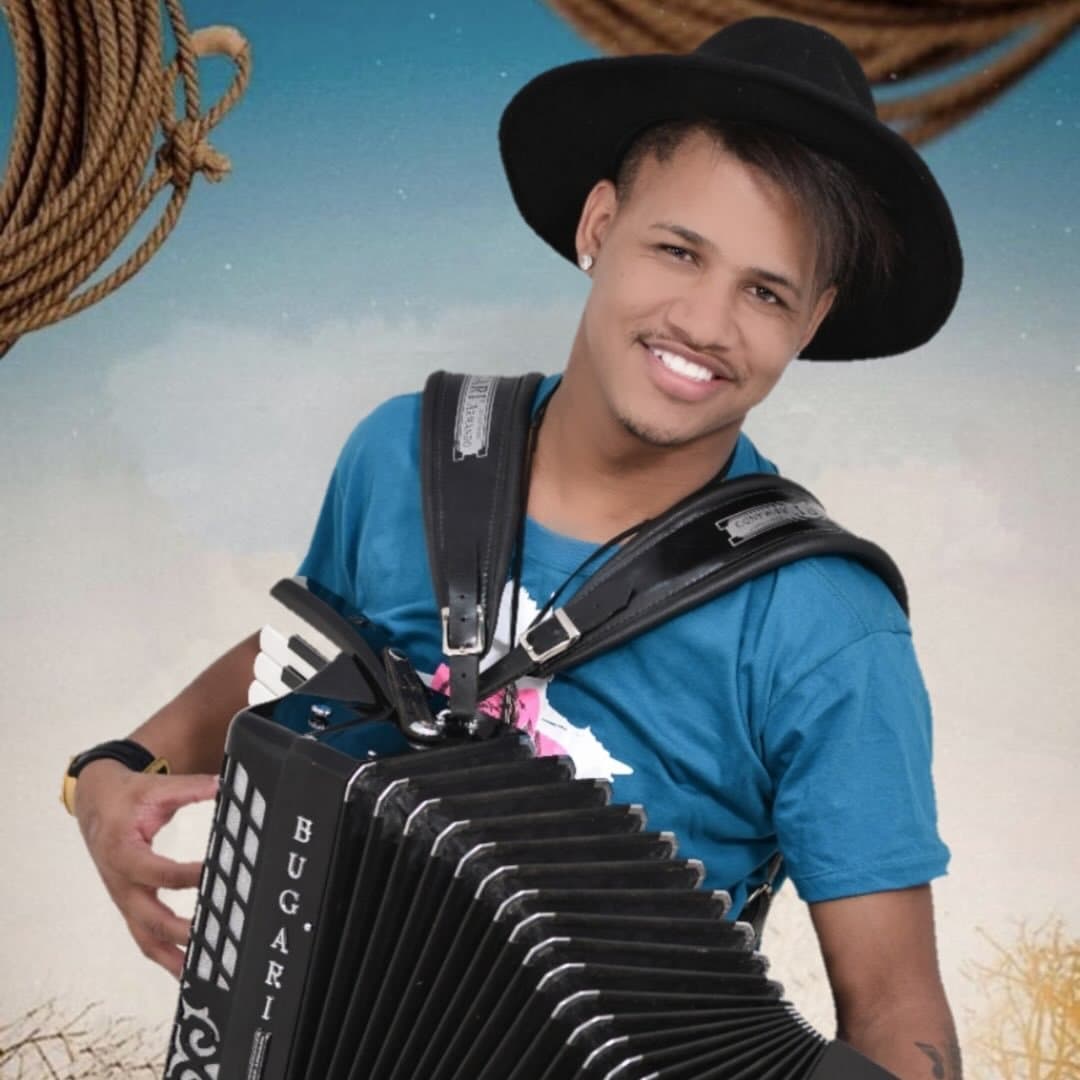 Arte de Renanzinho Acordeon