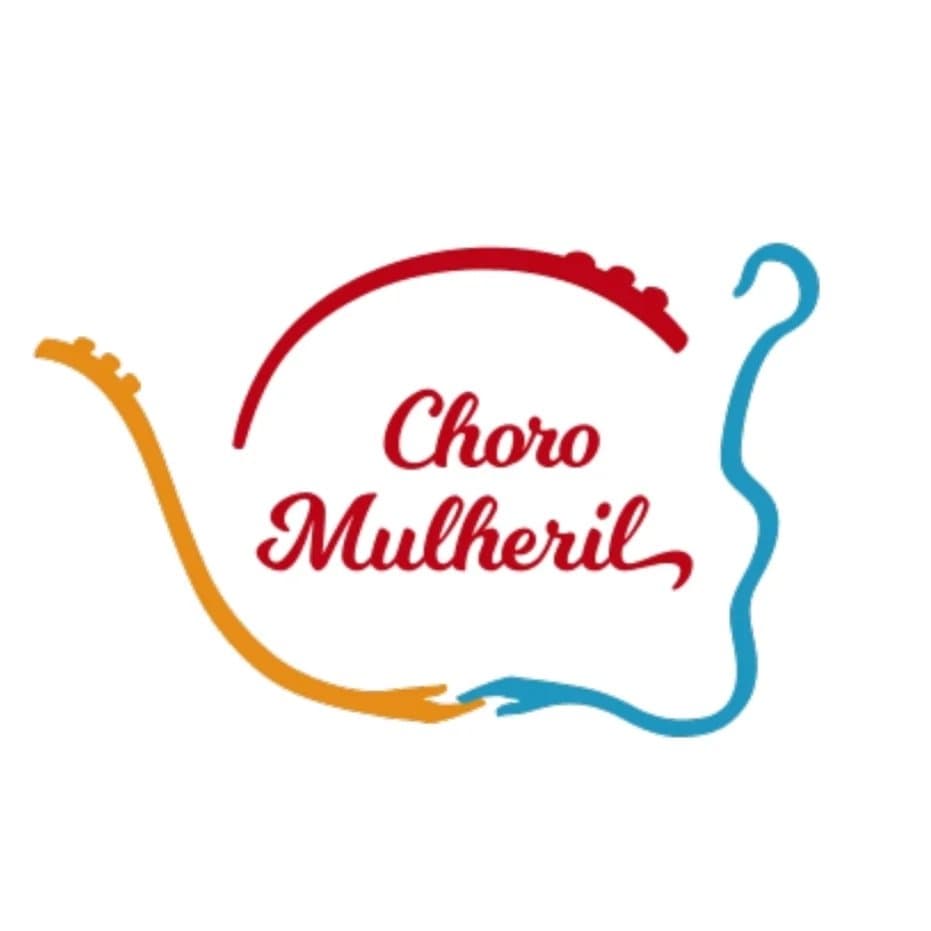 Arte de Roda de Choro Mulheril