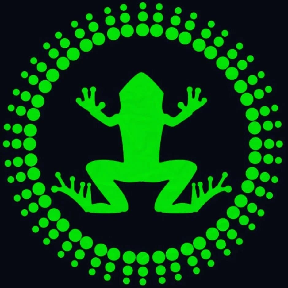 Arte de Sapos da Noite