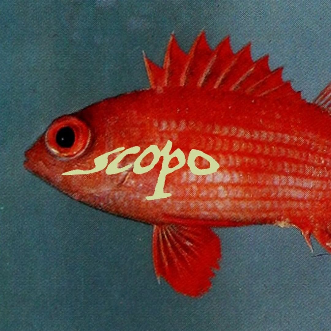 Arte de Scopo
