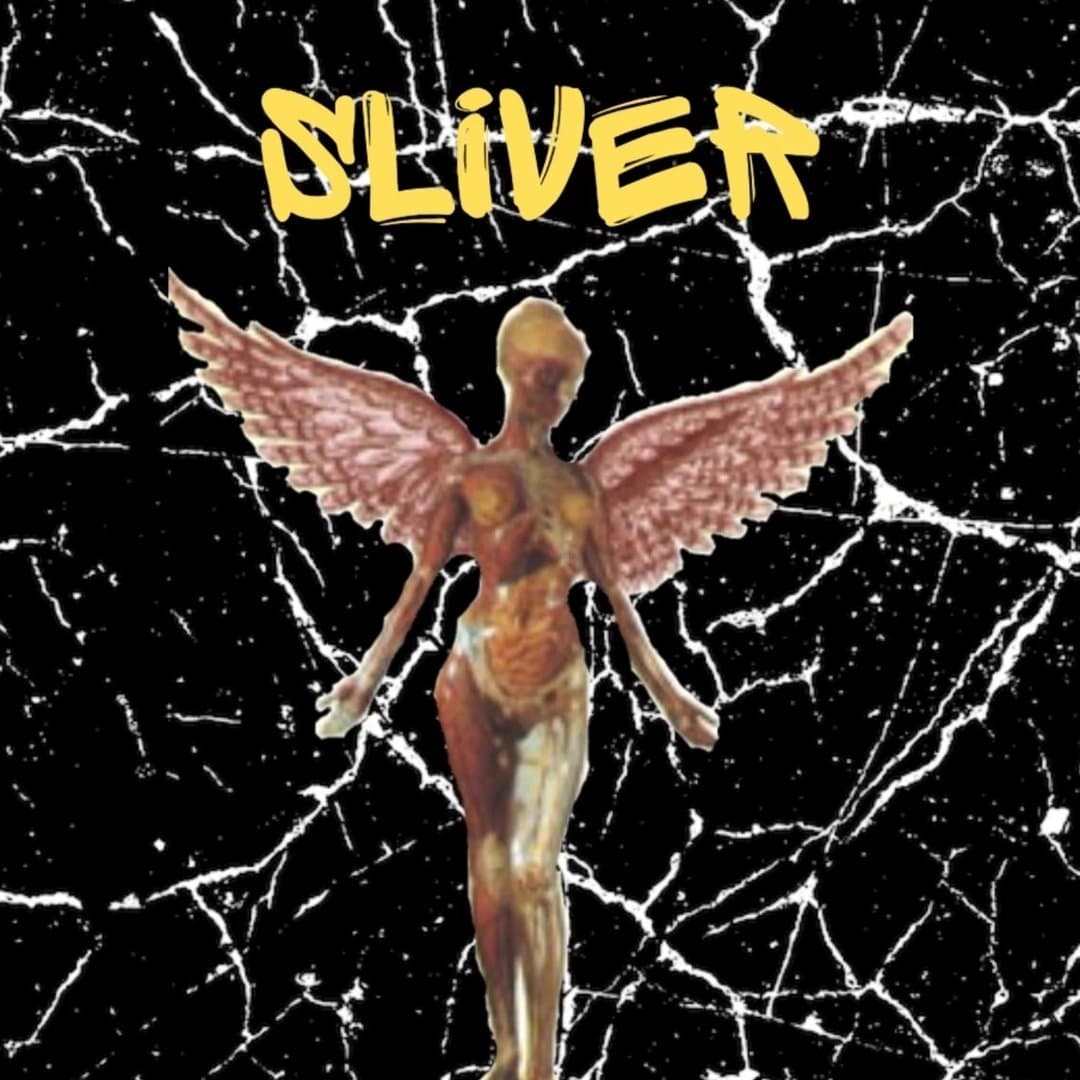 Arte de Sliver
