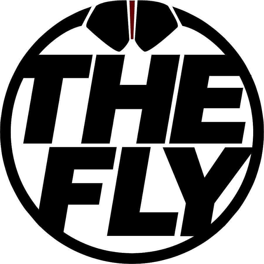 Arte de The Fly