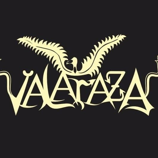Arte de Vala Raza