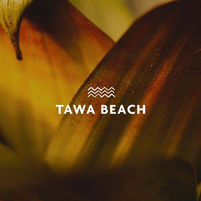 Foto de Tawa Beach