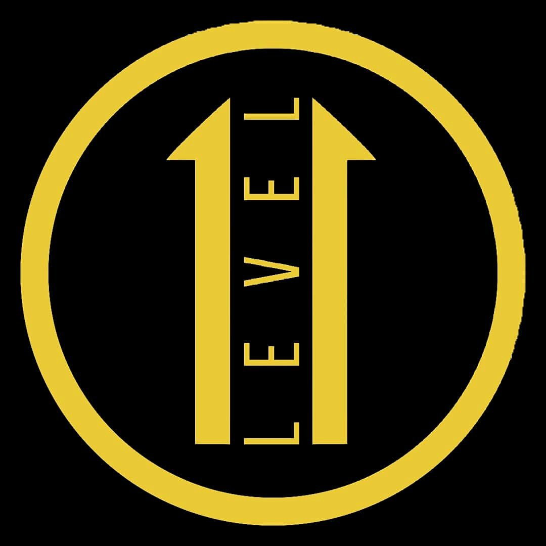 Level 11