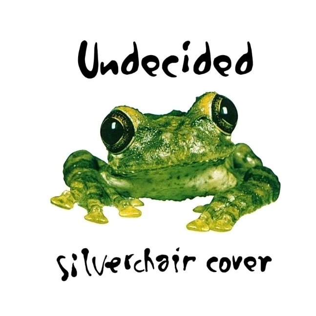 Undecided